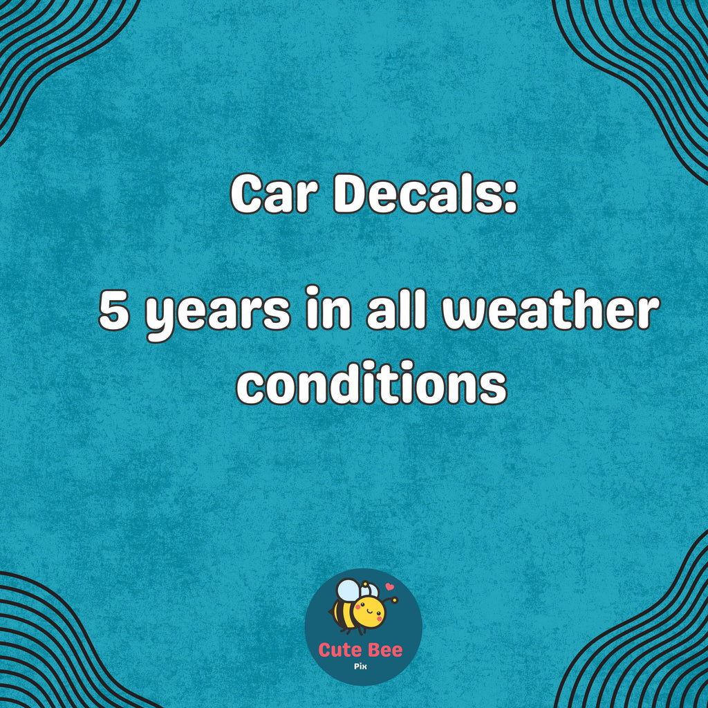 Shenandoah National Park Car Sticker, Retro Vinyl Decal Bumper Sticker, Vintage Waterproof Camping