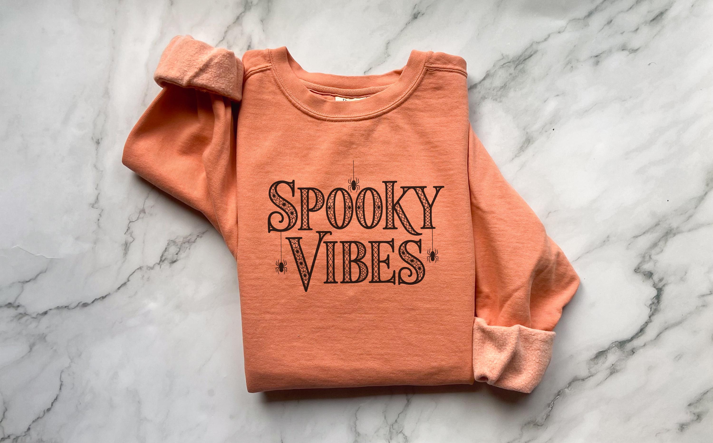 Spooky Vibes Halloween Sweatshirt, Cute Fall Ghost Season Top with Spider Design, Cozy Autumn Pullover, Funny Creepy Retro Outfit, Gift for