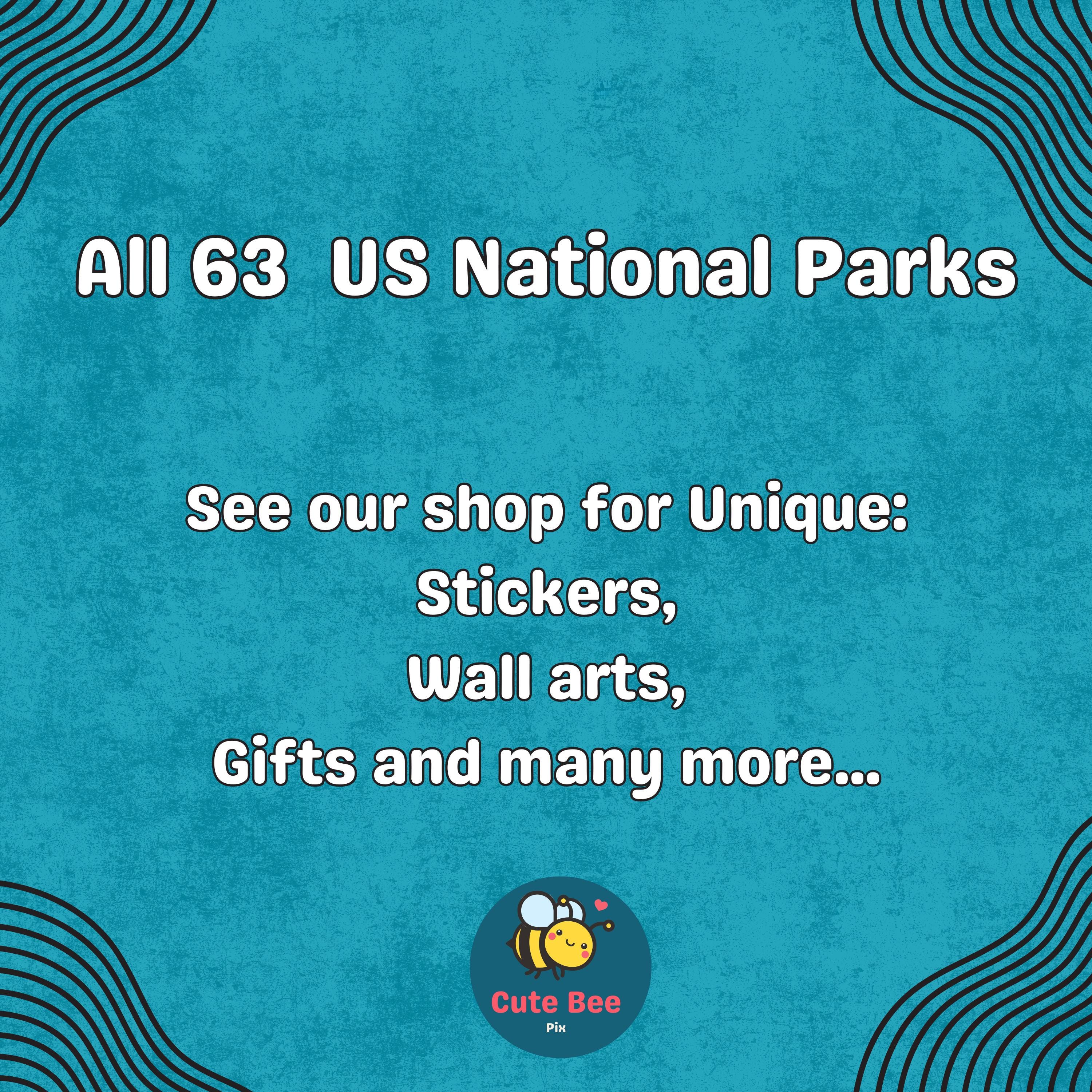 Mesa Verde National Park Car Sticker, Retro Vinyl Decal Bumper Sticker, Vintage Waterproof Camping